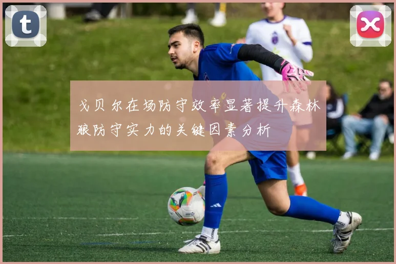 戈贝尔在场防守效率显著提升森林狼防守实力的关键因素分析